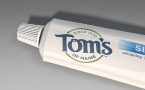 toothpaste toms toothbrush 3d model