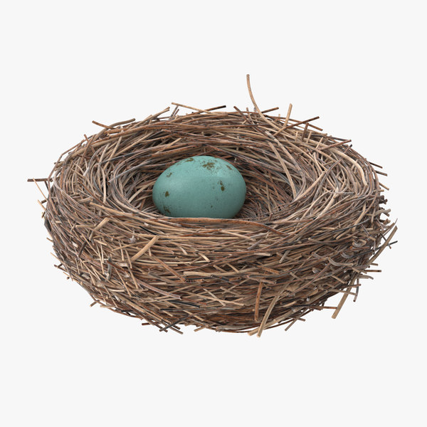 Bird Nest 3D Models for Download TurboSquid