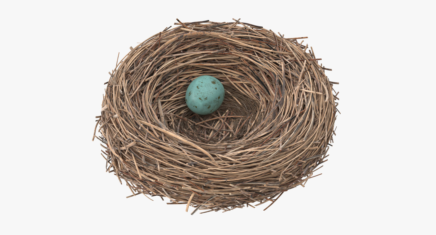 3d bird nest 03