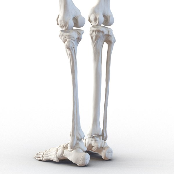 womens skeletoes