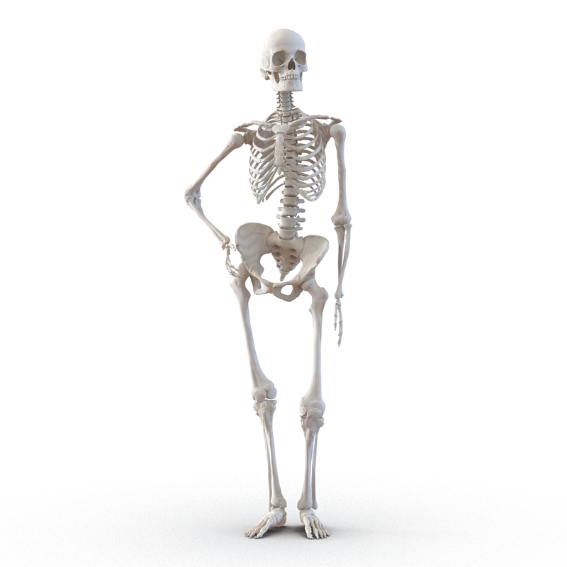 3d human female skeleton pose