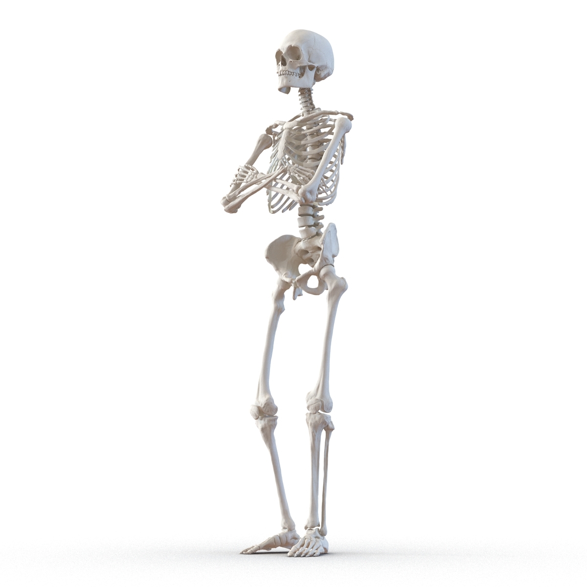 skeleton pose reference