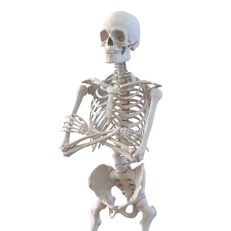 Skeleton 2 0 600m