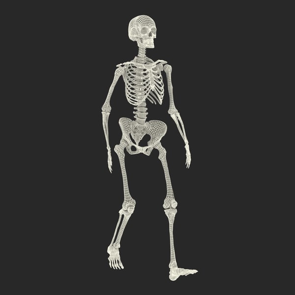 skeleton pose reference