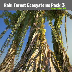3d model rain forest pack 3