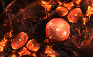 Cell, bacteria or virus