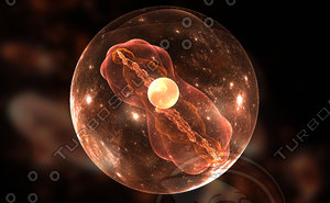 Cell, bacteria or virus