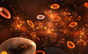Red blood cells flowing through vein
