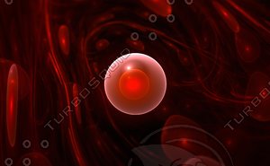 Red blood cells flowing through vein