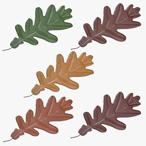 oak leafs 03 max
