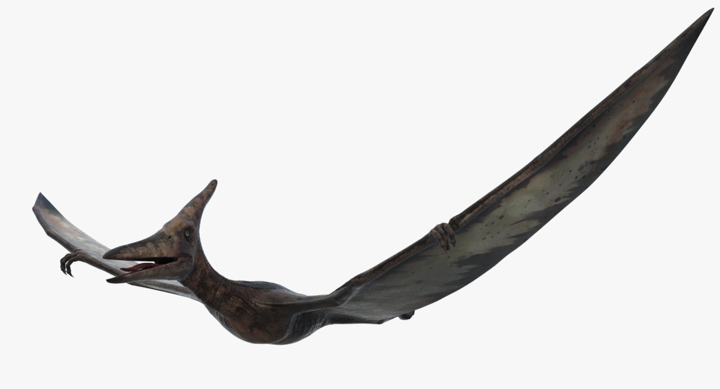 pteranodon 3d