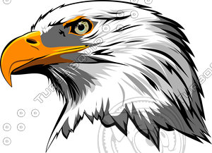 Eagle head