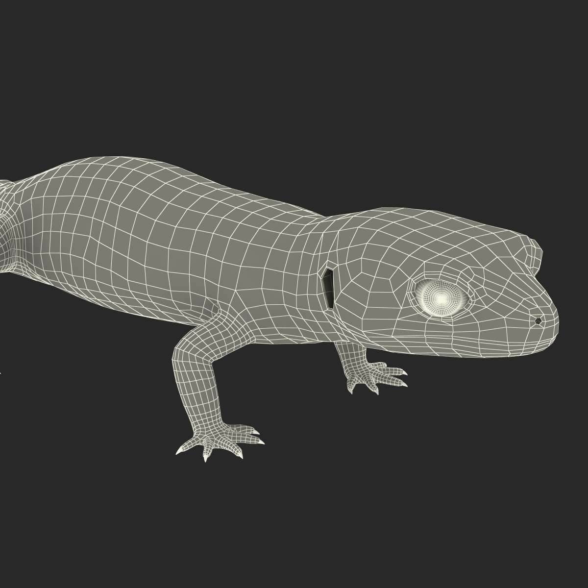 leopard-gecko-3d-model