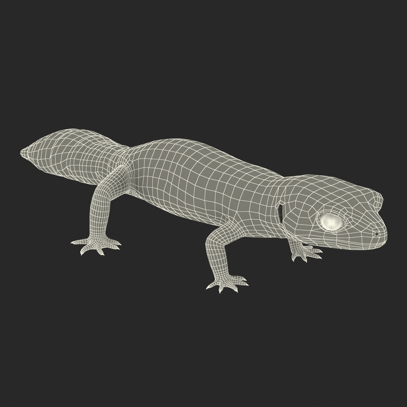 3D leopard gecko rigged - TurboSquid 1495064