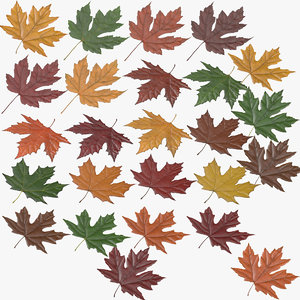 maple leafs 3d obj