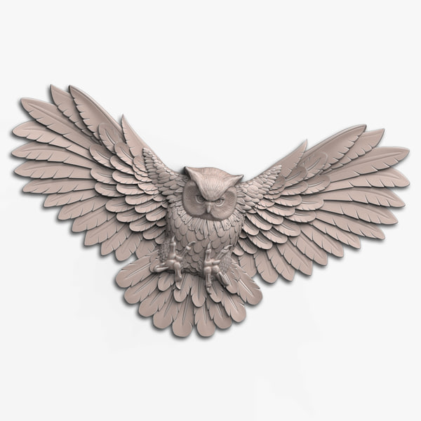 Owl 3D Models for Download | TurboSquid