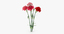 carnation bouquet - 3d model