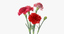 carnation bouquet - 3d model