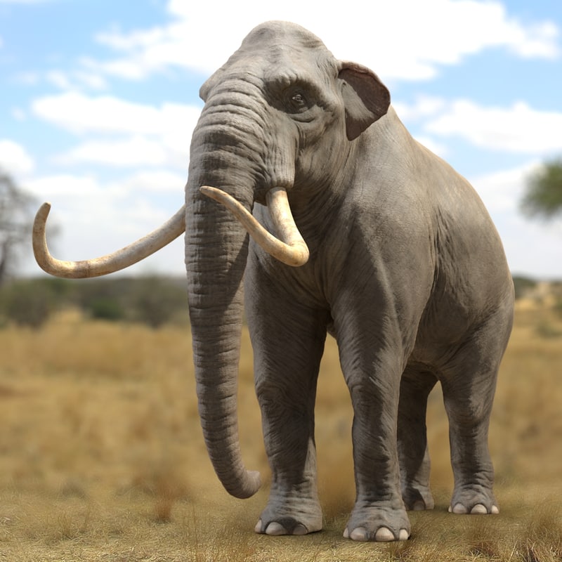 mammoth tusks 3d obj