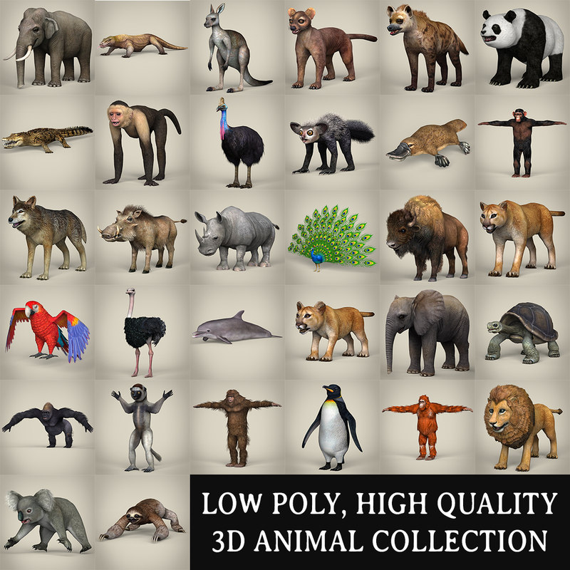 3d animals games model