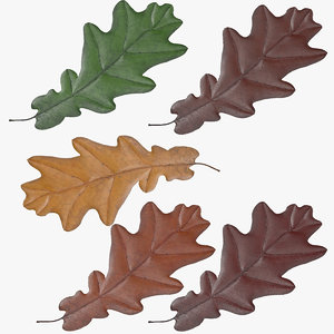 oak leafs 3d model