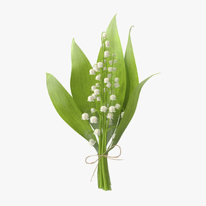 3d model bouquet lily valley -