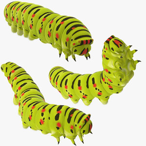 caterpillar poses max