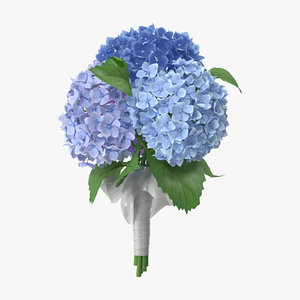 obj hydrangeas bouquet -