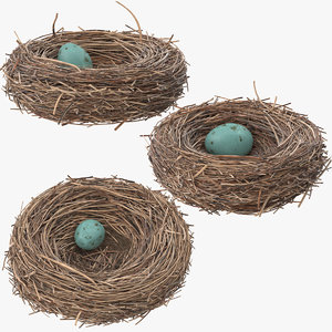 3d 3 bird nests