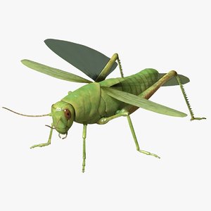 grasshopper arnold 3d model