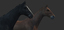 horse rigged animations obj