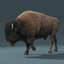 max american bison fur rigged
