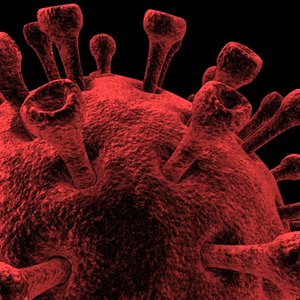blender hiv microscopic virus
