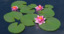 3d model water lily