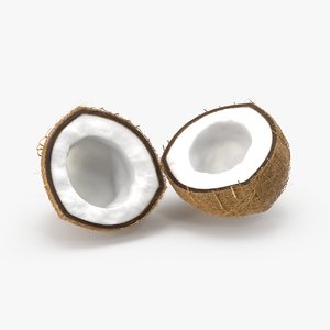 3d model coconut cross section