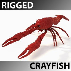 rigged crayfish 3d model