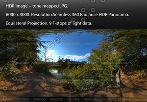 LAKE VIEW FROM A FOREST PATH 2, 360 PANORAMA #509