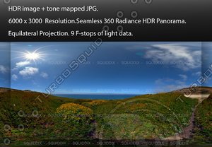 PATH TO PACIFIC OCEAN THROUGH SHRUBS, 360 PANORAMA #534