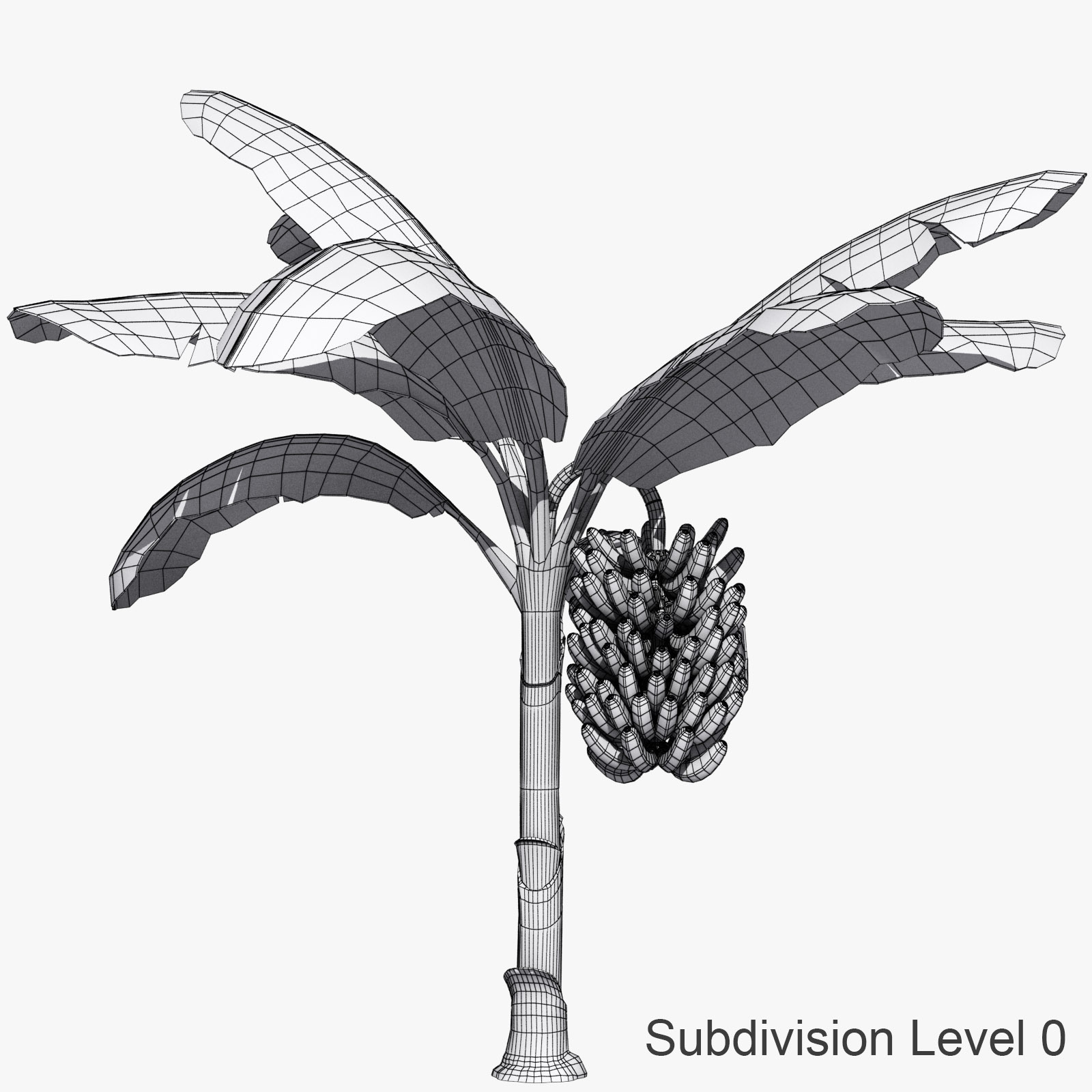 banana plant tree obj