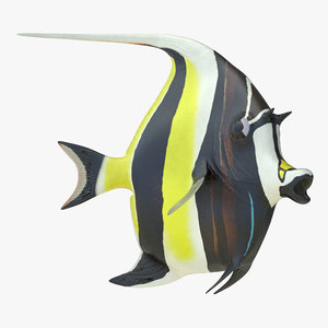 3d moorish idol fish rigged