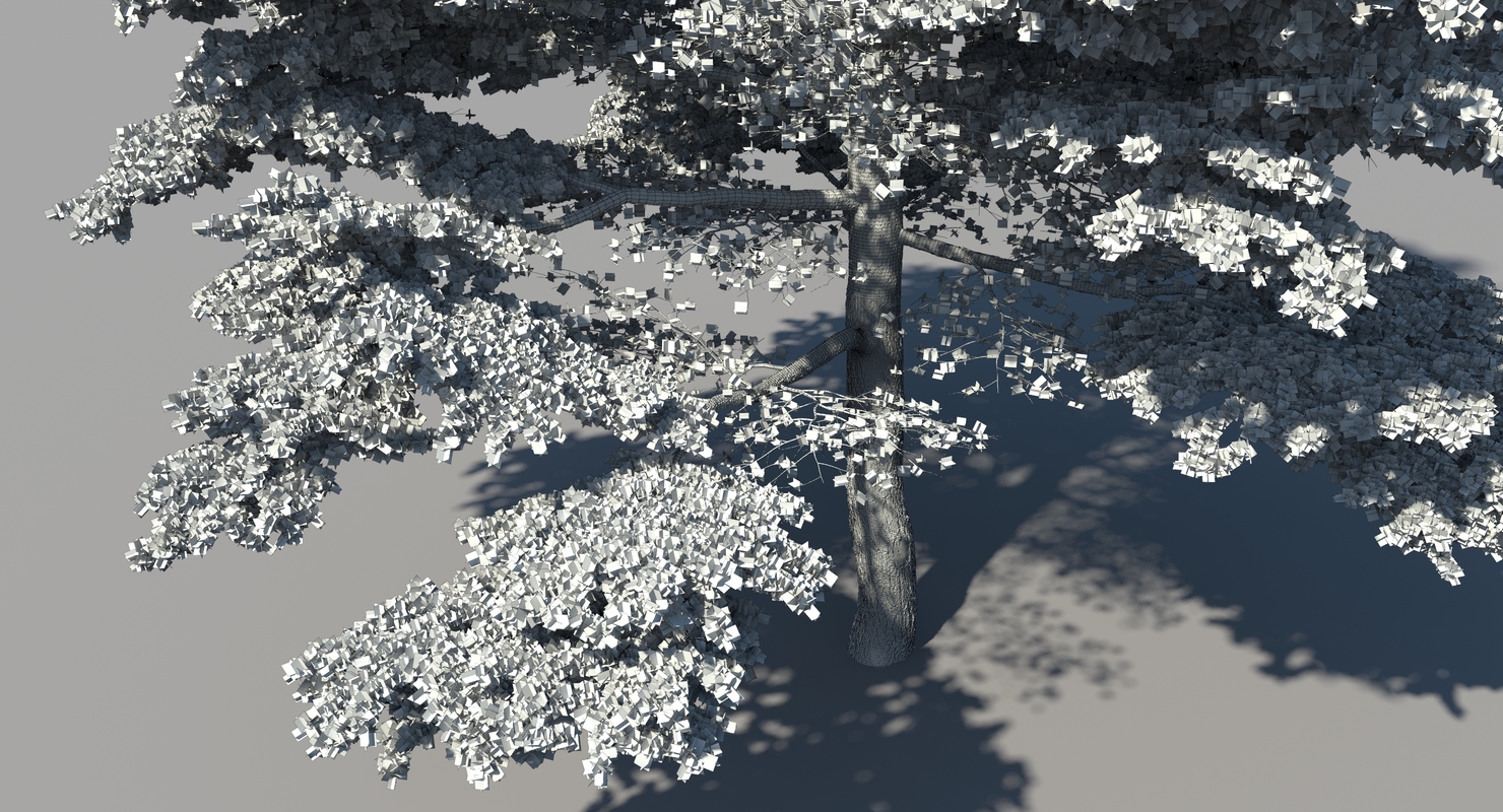 3d scan pine tree