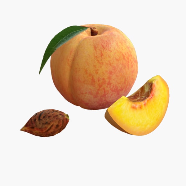 Peach modeling