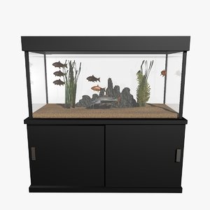 fresh aquarium goldfishes catfish 3d c4d