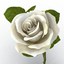 rose 3 white 3ds
