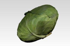 obj cabbage