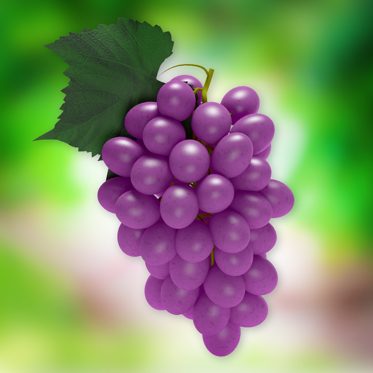 3d purple grapes model