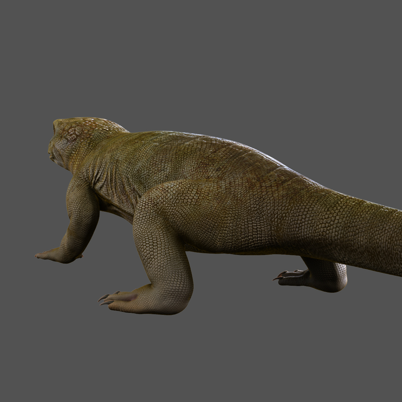 3d lizard rigged model