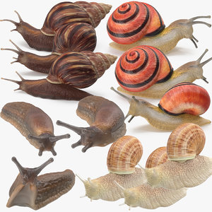 3d snails grove land model