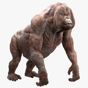 3d orangutan model
