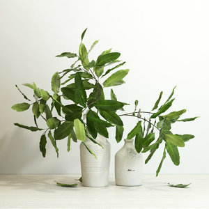 branches vase 3d model